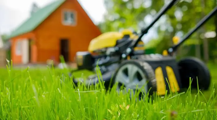 Outdoor Makeover: Best-Lawn-Care-Ideas