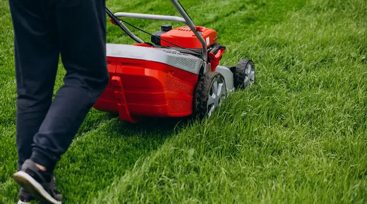 Outdoor Makeover: Best-Lawn-Treatments-In-Atlanta