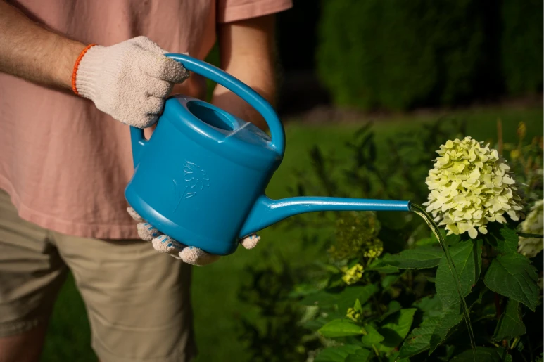 planting for fall