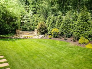 A sunny landscaped backyard with a lush green lawn, trimmed bushes and trees, a stone bench, and a small fountain in the background.