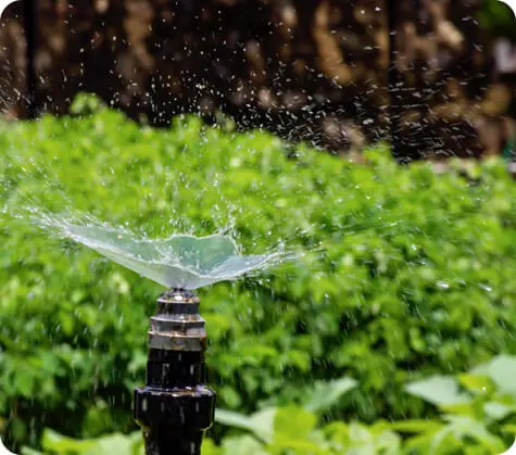 A garden sprinkler sprays water in a close-up, with green plants and blurred foliage visible in the background.