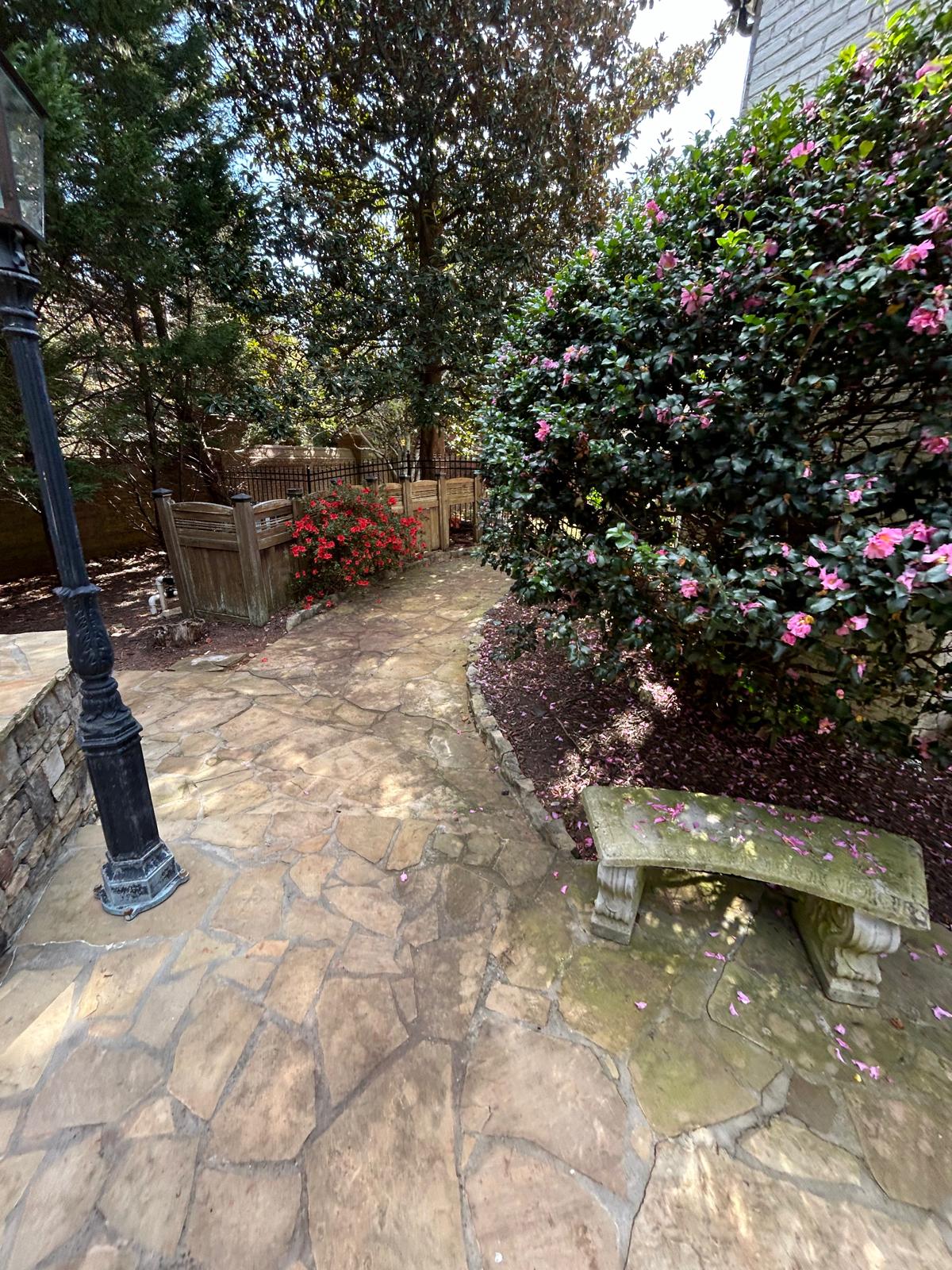 IMG 20241105 WA0040 - The Best Summer Blooms for Atlanta Landscapes - patio design and installation Atlanta