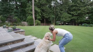 A woman in a white tank top and jeans bends to pet a large light-colored dog on a green lawn by stone steps, with trees and plants behind them.